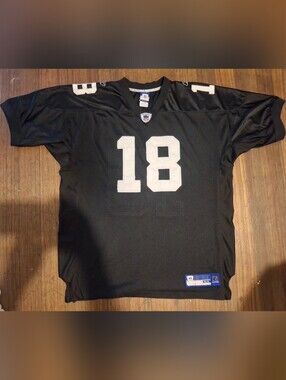 Early-to-mid 2000s Reebok NFL Equipment Oakland Raiders Randy Moss #18 jersey